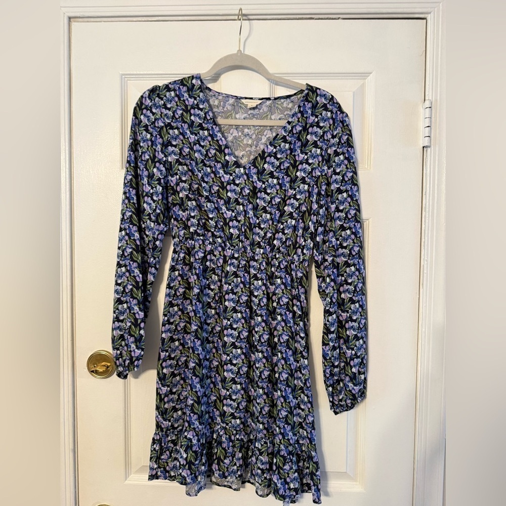 Aeropostale Blue and Purple Floral Mini Dress